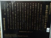 Ё[񂳂̋Sq_PL؂̓eʐ^1