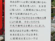 �A�b�L����̐ԏ鎛�̃V���N�i�Q�̓��e�ʐ^4