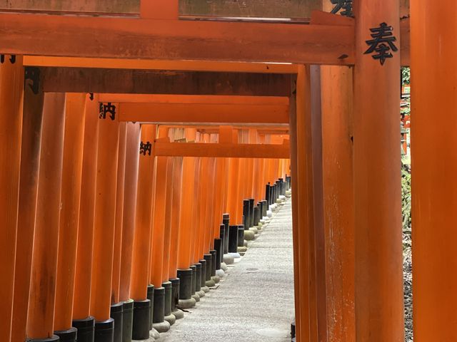 ������1�ԍs�����������ꏊ_���s���������^�������