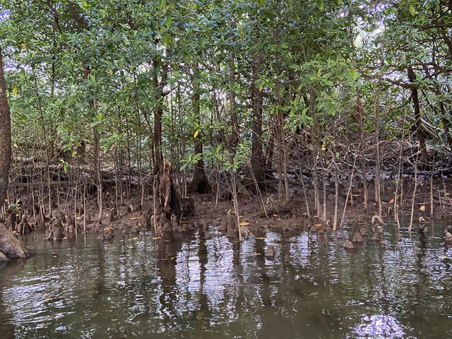 カヤックでの景色_OHCUS石垣島