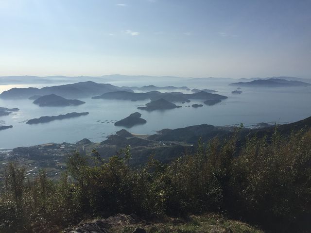 ςV傳̑qxǐόj̓eʐ^1