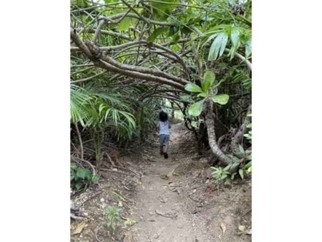 �g���l��_�Ί_�̉�