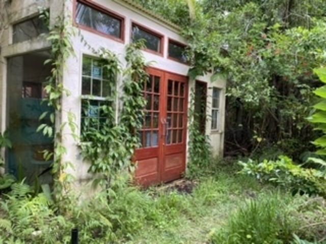 ���͋C�̂��錚��_�Ί_�̉�