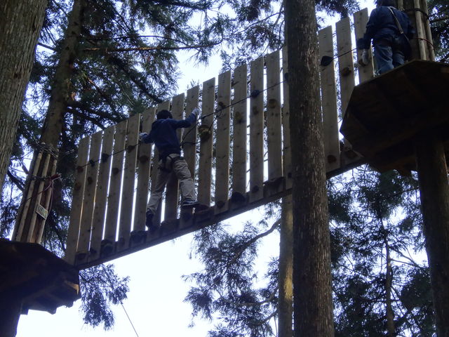 10���ʂ̍����̔Ƀ{���_�����O�̓ˋN�u�z�[���h�v������͂ޘr�͂��K�v�Ō��\�����ł��B
_�c���[�N���X�A�h�x���`���[���؁E����