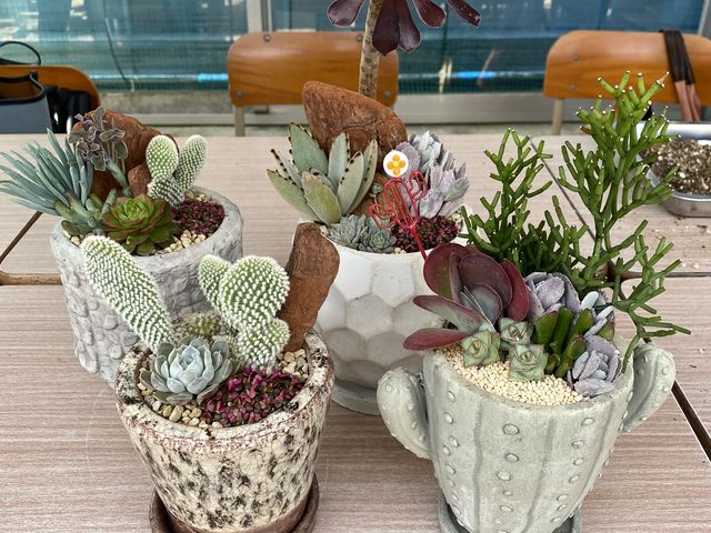 �݂�Ȃ̌����o�Ă��i���o���܂����I_Saiki�@Engei