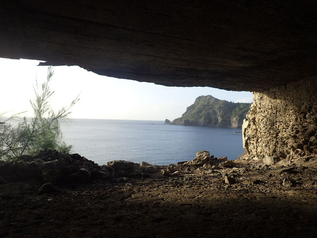 ����̖C��_���}���{�j�l���V�X�g���x��