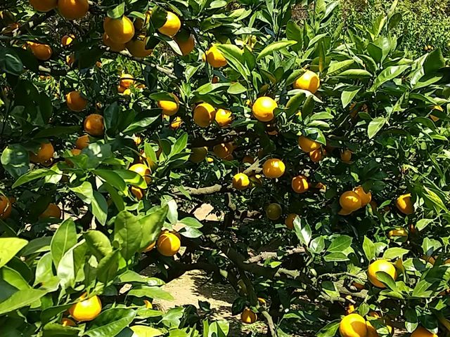 ���������݂���_�����΂ȉ�