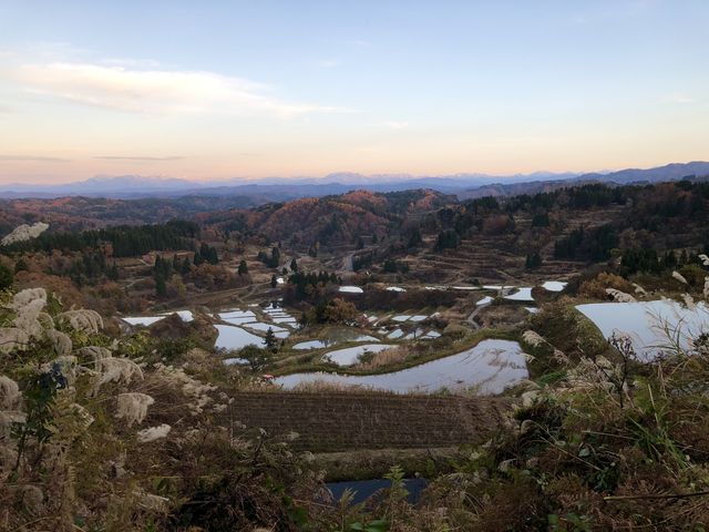 �S�[���̐����̒I�c�́A�[�Ă��󂪂ƂĂ��Y��ł�����_�������HOME HOME NIIGATA