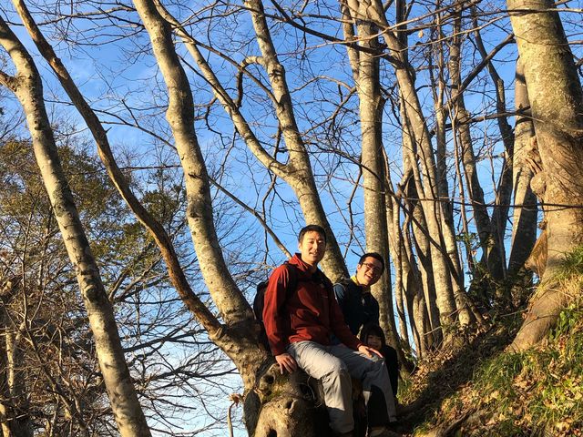 ����Ȗʔ����؂�����܂�����_�������HOME HOME NIIGATA