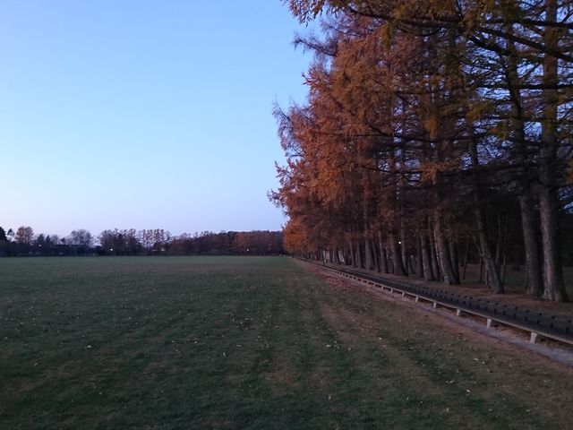 �~�������O�̌��i_�΃��u�����E�O���[���p�[�N�i400m�x���`�j