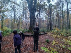 [̐AEghAZ^[(X)ւ̓eʐ^1