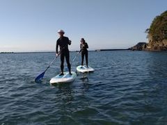 hideito̐ɓrto^jVCYTbvւ̓eʐ^1