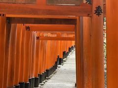 イ񂳂̋s^ւ̓eʐ^1