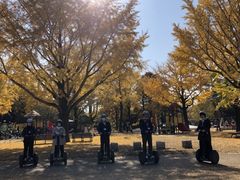 ����떲����̏��a�L�O�����Z�O�E�F�C�c�A�[�ւ̓��e�ʐ^1