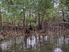 񂳂OHCUSΊ_ւ̓eʐ^2