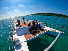 ~jg}g̕΃_CjO-Perchill-ւ̓eʐ^1