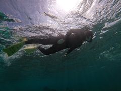 ~jg}g̕΃_CjO-Perchill-ւ̓eʐ^2