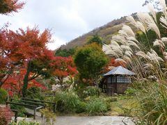 jR񂳂̕xmzeւ̓eʐ^1