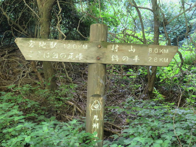 Ԃ񂳂̋BRiF{hsj̓eʐ^1