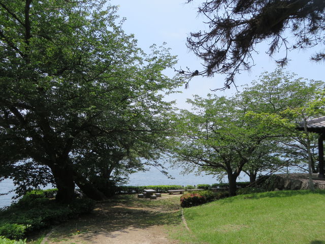 Ԃ񂳂̏鉺̍̓eʐ^3