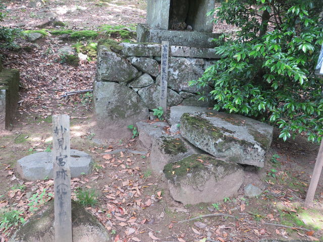 ���{��_��R