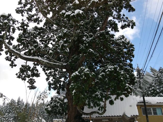 ���̓�����͏��Ȃ��B�y�n�̂����ɋ����Ē��������Ŗ������B�~�͂��E�ߏo���܂���B�y�̎l�삮�炢�ŁH_���R�_��