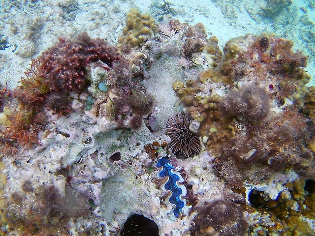 VRLNX}X[AFȐ邱Ƃł܂B_̓AĂ