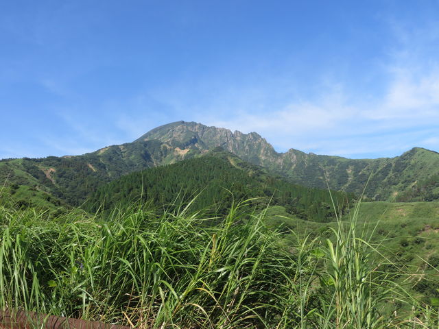 Ԃ񂳂̌ˎ덂̓eʐ^2