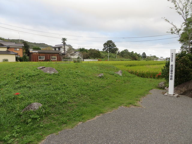 �Ԃ���񂳂�̋��󑠎��Ղ̓��e�ʐ^3