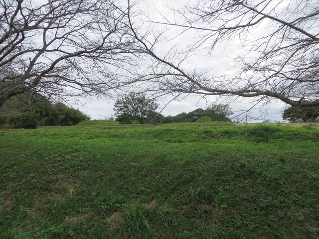 �Ԃ���񂳂�̐ԒˌÕ��̓��e�ʐ^2