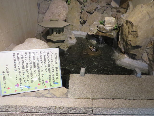 �T�̂���r_���S�̏h�@�a�y��