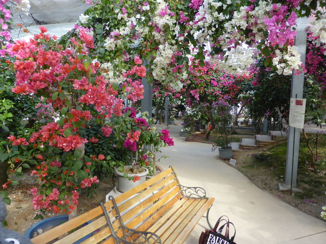 �B�e�X�|�b�g_�u�[�Q���n�E�X���