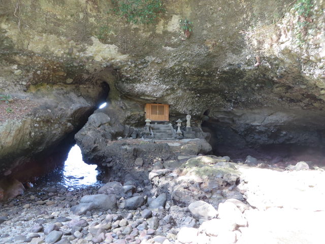 �Ԃ���񂳂�̍s�ғ����̓��e�ʐ^1