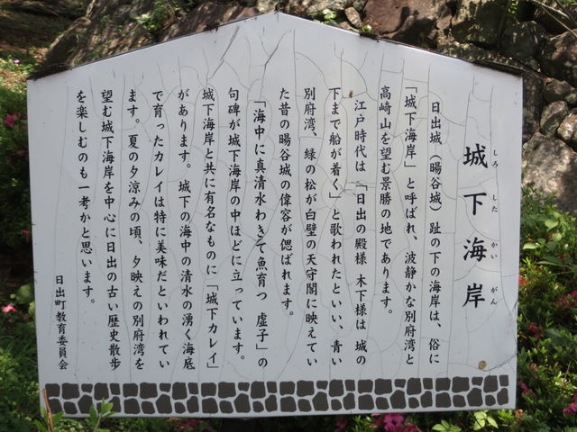 �ē���_�鉺�C��