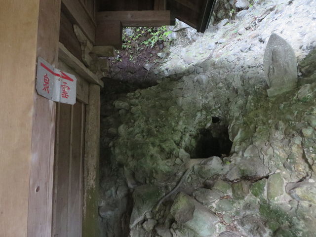 �Ԃ���񂳂�̑鐲�ω��̓��e�ʐ^4