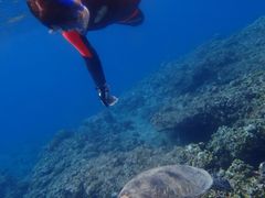 ÑRY~bNA[Xւ̓eʐ^1