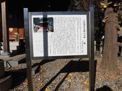 馬場っちさんの日枝神社（埼玉県川越市）への投稿写真1