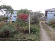 Ă̒WHό@F{όē̓eʐ^5