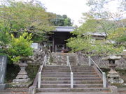 �Ԃ���񂳂�̘@�鎛�i���R�ω��j�̓��e�ʐ^1