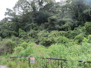 �Ԃ���񂳂�̕������Õ��̓��e�ʐ^1