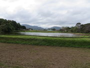 Ԃ񂳂̎jՌFyL̋u̓eʐ^1