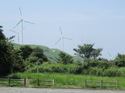 Ԃ񂳂̈hɂ͂ECht@[̓eʐ^1