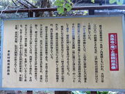 Ԃ񂳂̒y̖t@̓eʐ^1