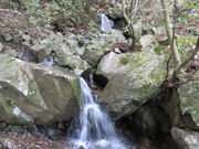 Ԃ񂳂̍̑i啪sj̓eʐ^1