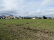 �Ԃ���񂳂�̖@�����p�Ղ̓��e�ʐ^1