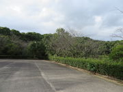 Ԃ񂳂̋R̃TN̓eʐ^2