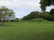 �Ԃ���񂳂�̐ԒˌÕ��̓��e�ʐ^1