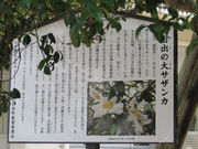 Ԃ񂳂̓ȏTUJ̓eʐ^1