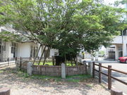 Ԃ񂳂̓ȏTUJ̓eʐ^2