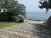 Ԃ񂳂̏鉺C݂̓eʐ^1